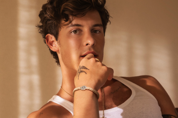 Learn about The Shawn Medes Foundation